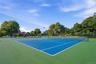 Tennis and Pickleball