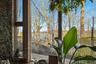 Views from inside of Atrium