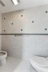 primary bathroom water closet