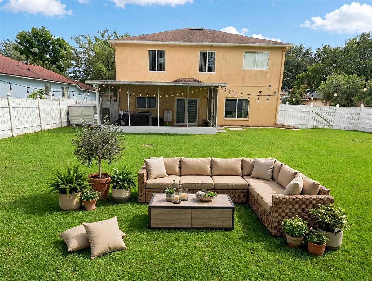 Back Yard