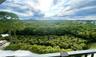 View of Nature Preserve from Balcony