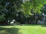 Spacious wide open private flat backyard with wooden swing and room for a pool or possibly even a pickleball court