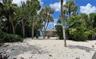 Old Florida's natural habitat surrounds the property.