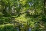 A truly magical entrance includes an exquisite pond with beautiful gardens