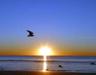 Wonderful sunsets!