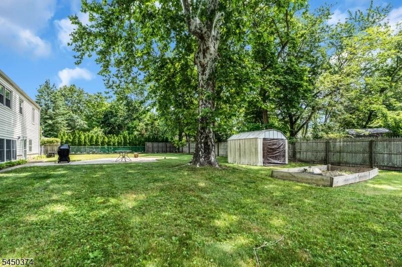 Fenced yard