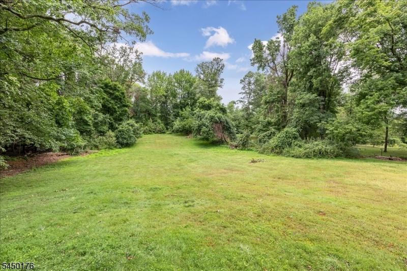 Huge backyard