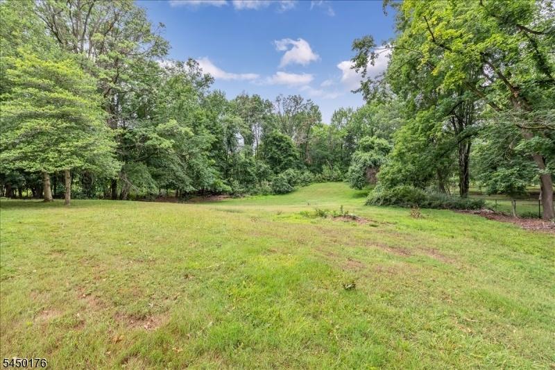 Huge backyard