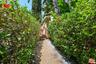 Front Walkway