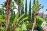 Front Trees