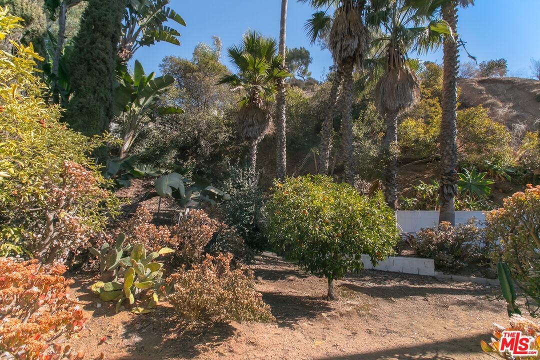 Side yard