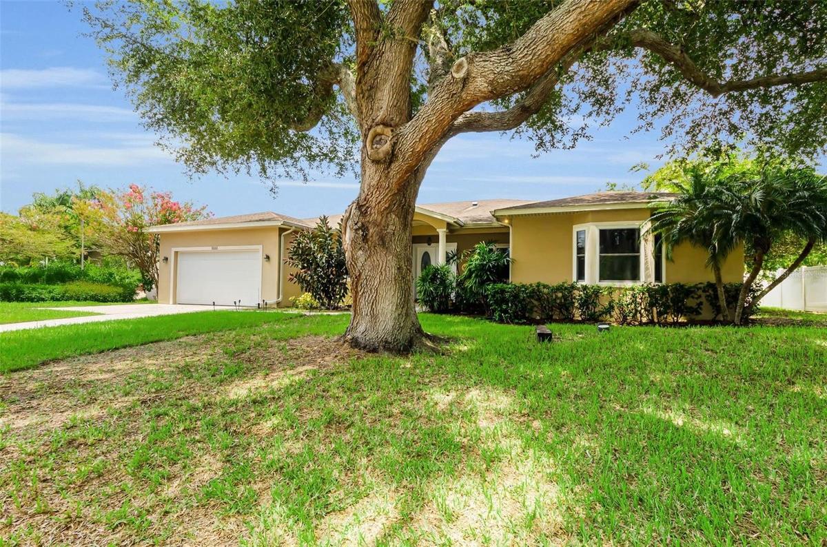 CITY OF CLEARWATER NATURAL GAS FOR HEAT, STOVE, FIREPLACE AND DRYER!