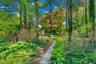 Entrance to the Pond Garden