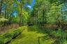 Garden pathway through the grounds