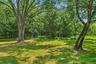 Flat yard with mature trees
