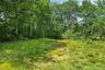 A peaceful meadow