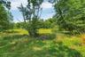 You'll see plenty of deer grazing in the meadows