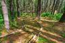Walking trails