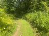 Walking path