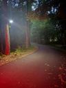 Access road motion lighting