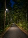 Access road impression with solar powered motion controlled