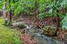 wooded views