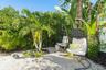 Backyard.