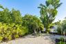 Backyard.