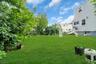 Rear Yard