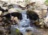 Brook