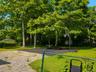 back yard - ai enhanced