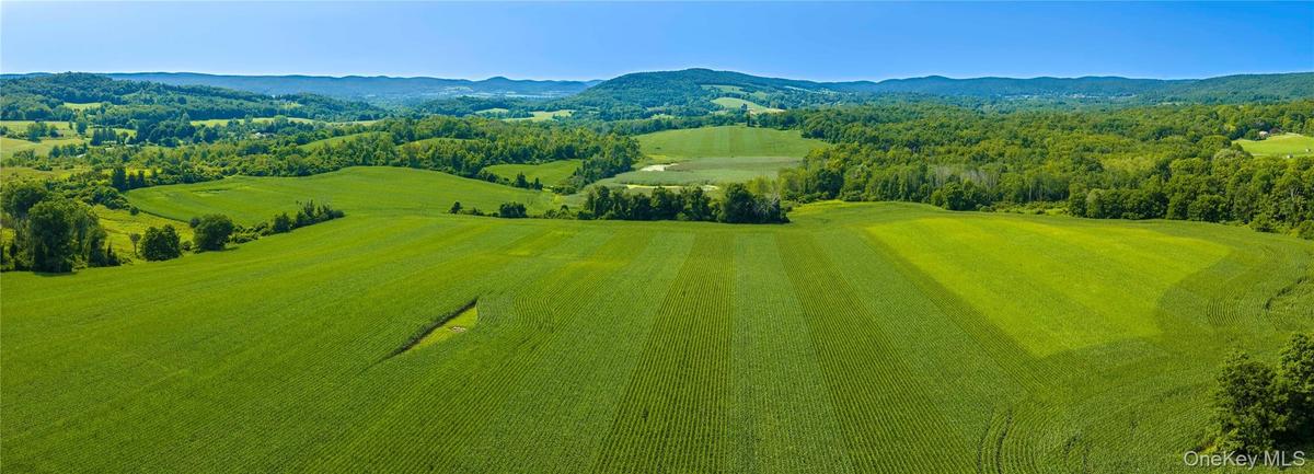 Bull Farm is an extraordinary 422.42-acre assemblage of farmland, woodlands, wetlands, and working agricultural property. The entire property seen fro