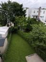 Partial Backyard