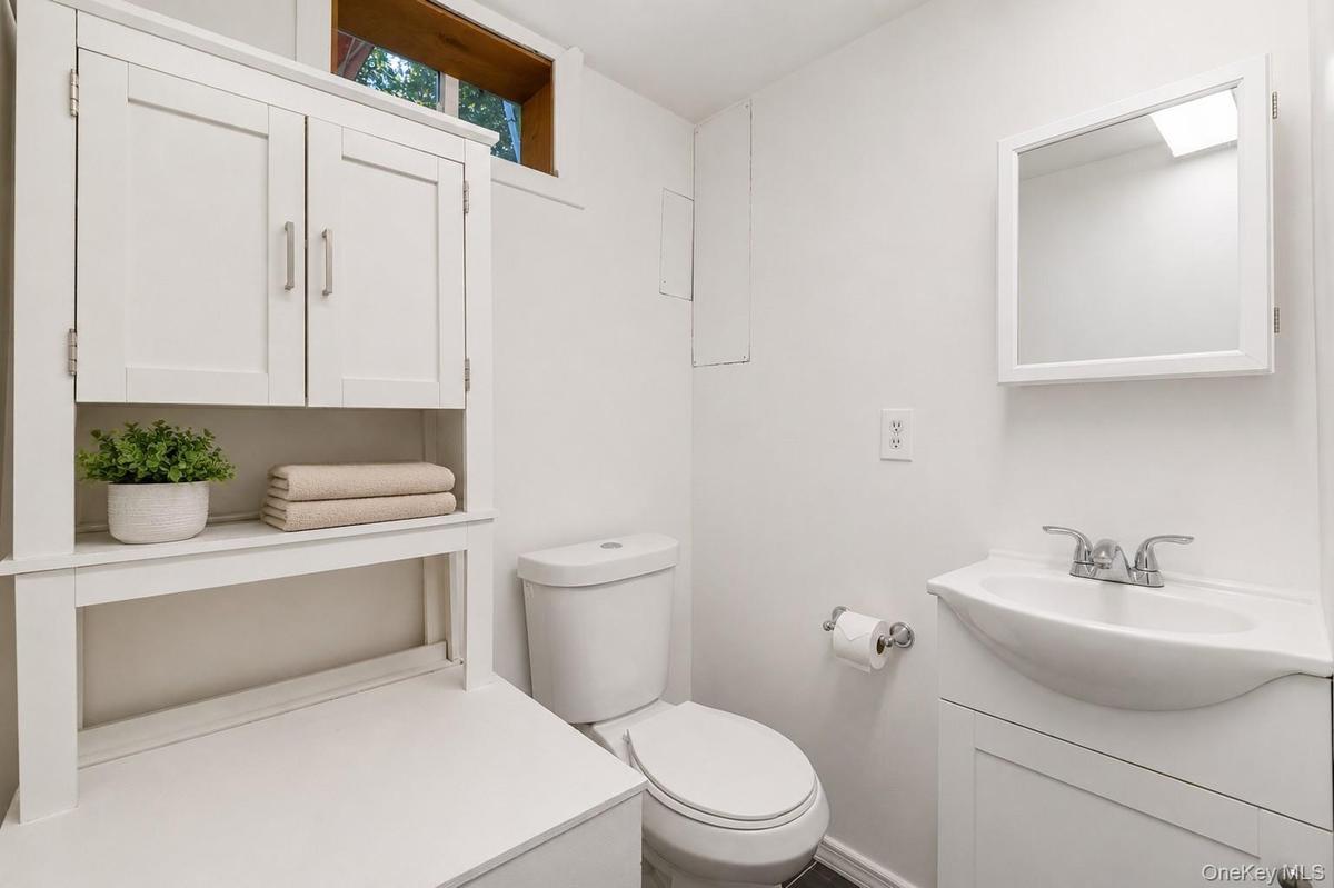 basement bathroom