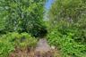 walkway bridge leading to pond