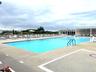 Solar heated pool
