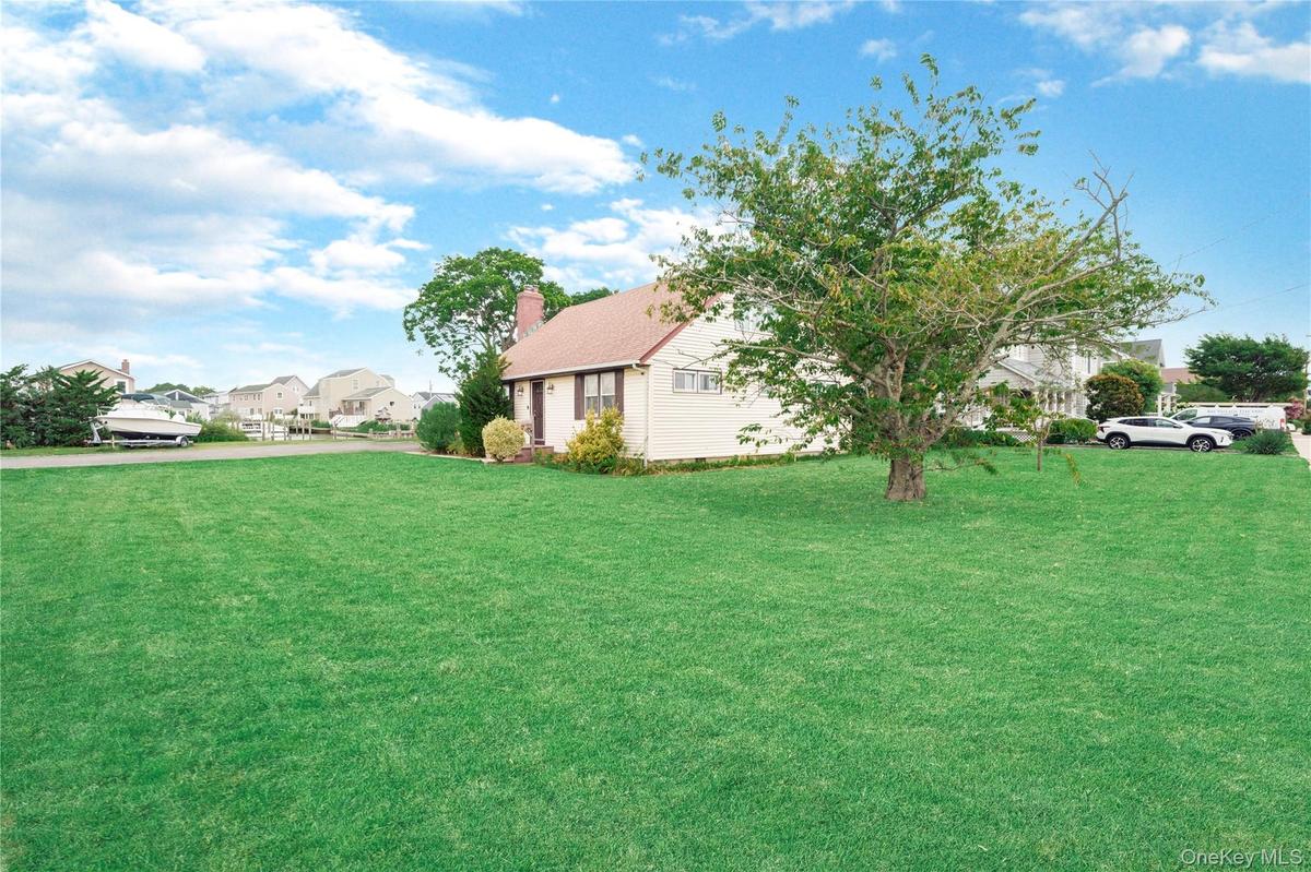 Expansive green lawn with a mature tree