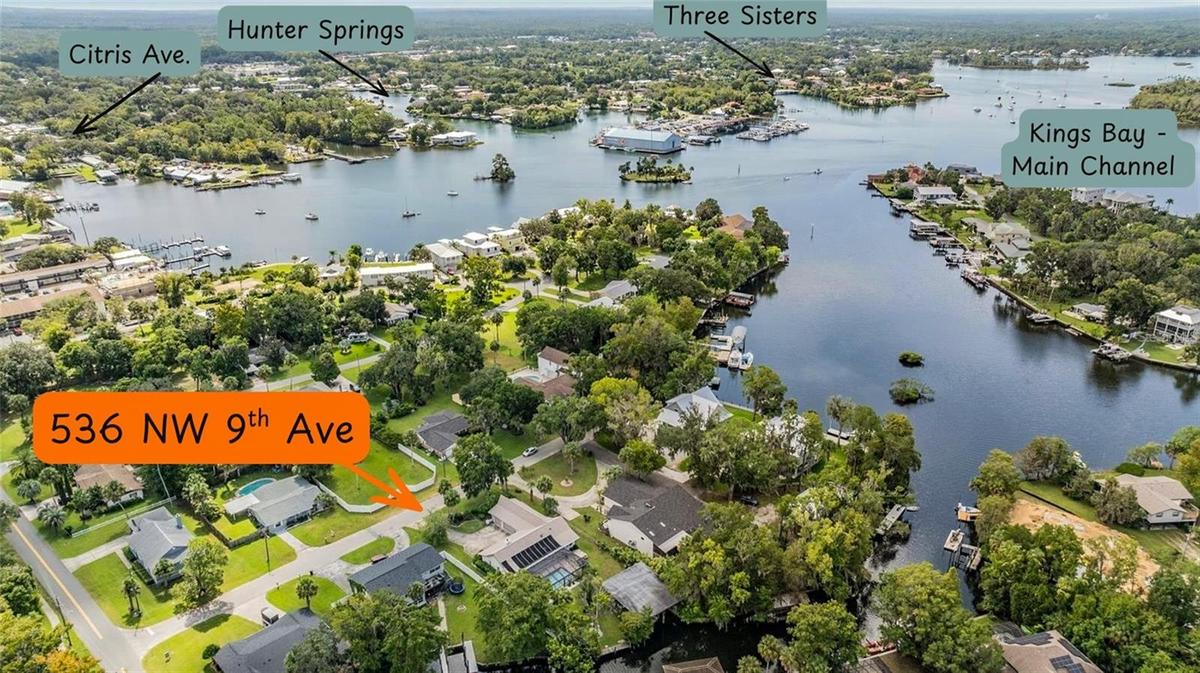 Perfectly located for quick access to the Main Channel out to the Gulf, to Hunter Springs, Kings Bay and Three Sisters!  Plus, only a quick walk to al