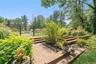 luscious landscaping leads to salt water pool and pool house