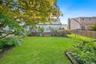 back of yard