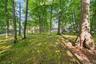Partially wooded