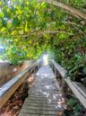 Enjot the dedicated beach access!