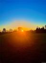Open field sunrise beyond backyard fence in Dorothy Street Park entered via backyard gate!