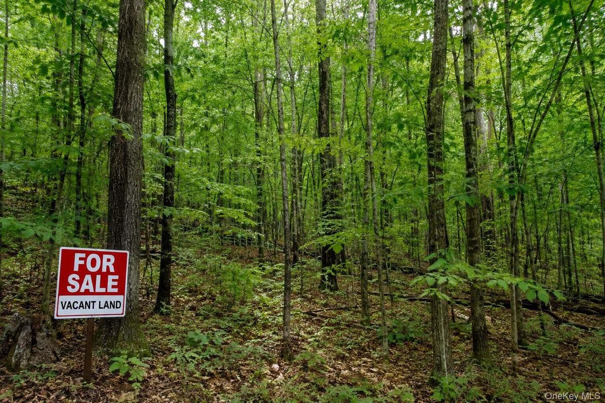 3.63 Acres Vacant Land