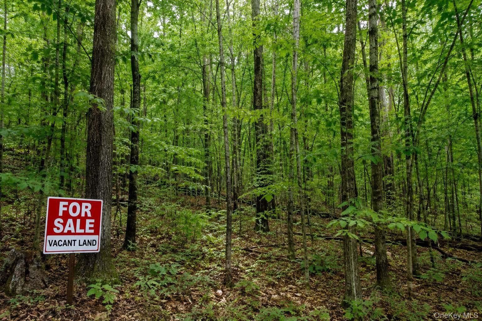 3.63 Acres Vacant Land