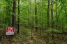 3.63 Acres Vacant Land