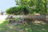 Backyard 1