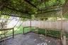 Backyard 2