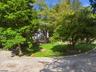 Naturally shaded yard area