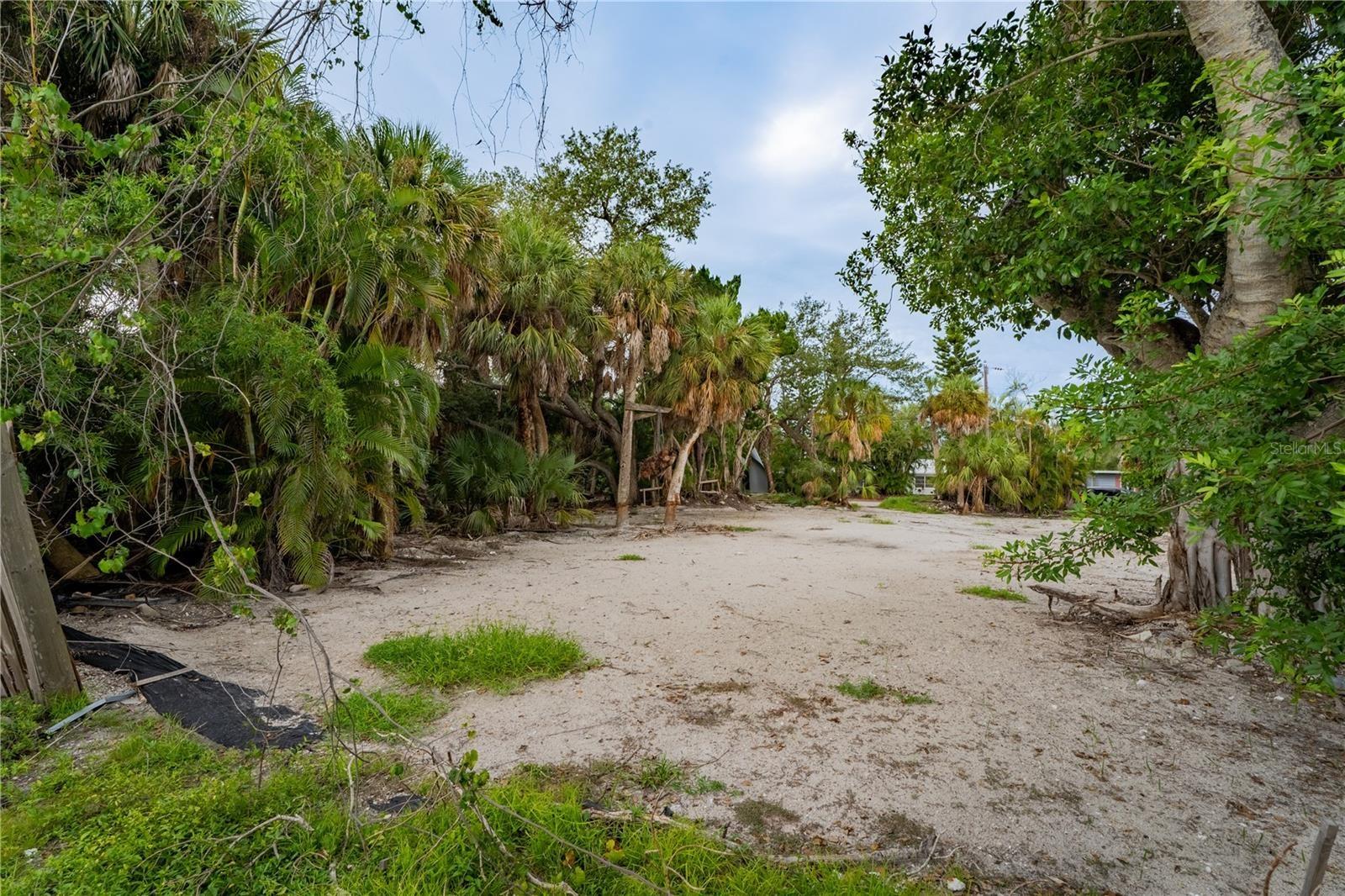 Cleared area